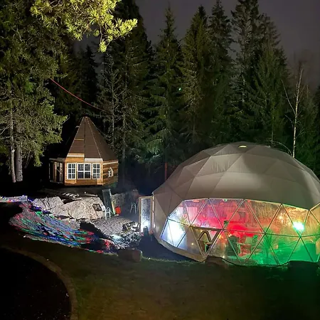 The Forest Dome Nordic Event Space In Nature Деревянный коттедж